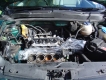Broken Lupo